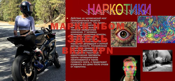 трава Наволоки