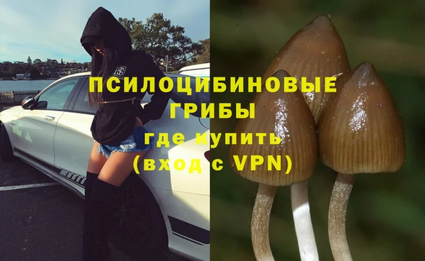 кокаин премиум Алексеевка